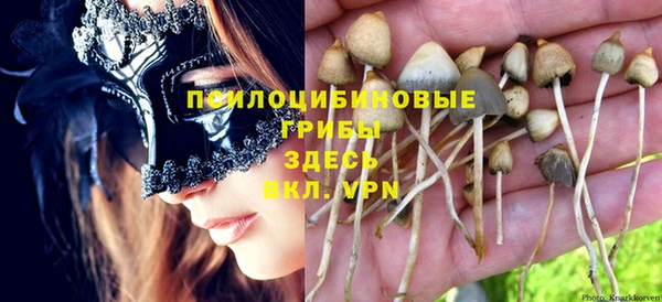 прущая мука Снежинск