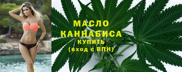 сатива Снежногорск