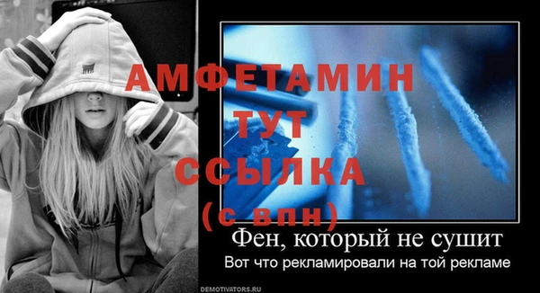 прущие грибы Архангельск