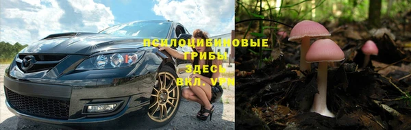 сатива Снежногорск