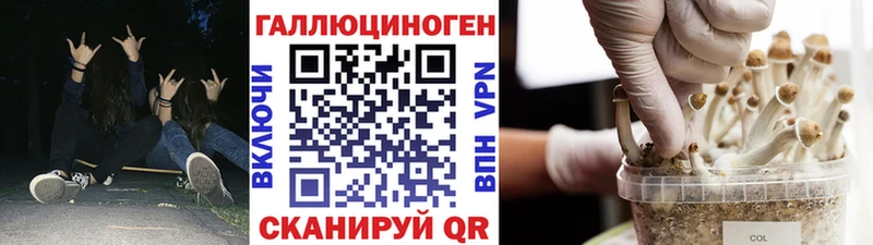 Купить закладки  Змеиногорск  Псилоцибиновые грибы MAGIC MUSHROOMS 