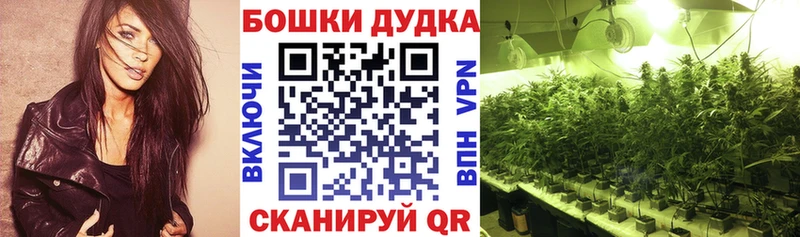 Купить закладки  Змеиногорск  МАРИХУАНА марихуана 
